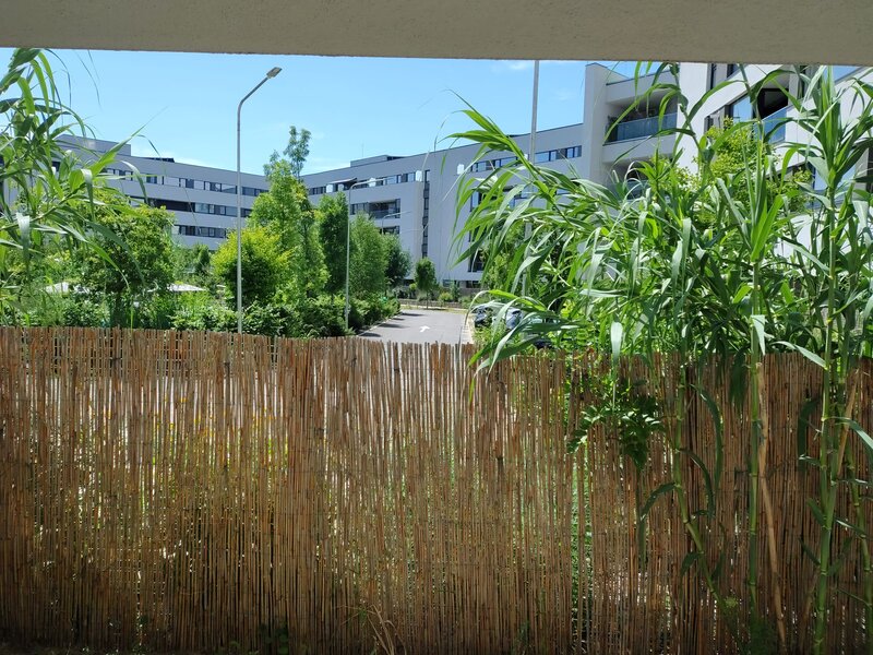 Chitila Mall Colosseum, 2 camere decomandat + gradina proprie