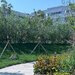 Chitila Mall Colosseum, 2 camere decomandat + gradina proprie