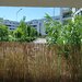 Chitila Mall Colosseum, 2 camere decomandat + gradina proprie